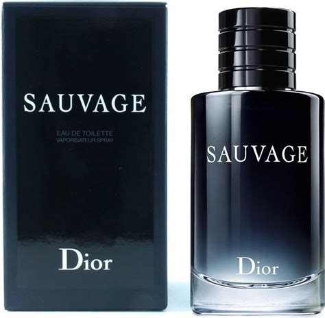 dior sauvage douchegel voor mannen 200 ml|françois demachy dior.